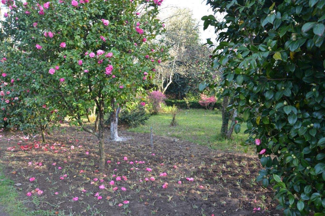 Quinta D'Avo Amelia Bed and Breakfast Alquerubim Buitenkant foto