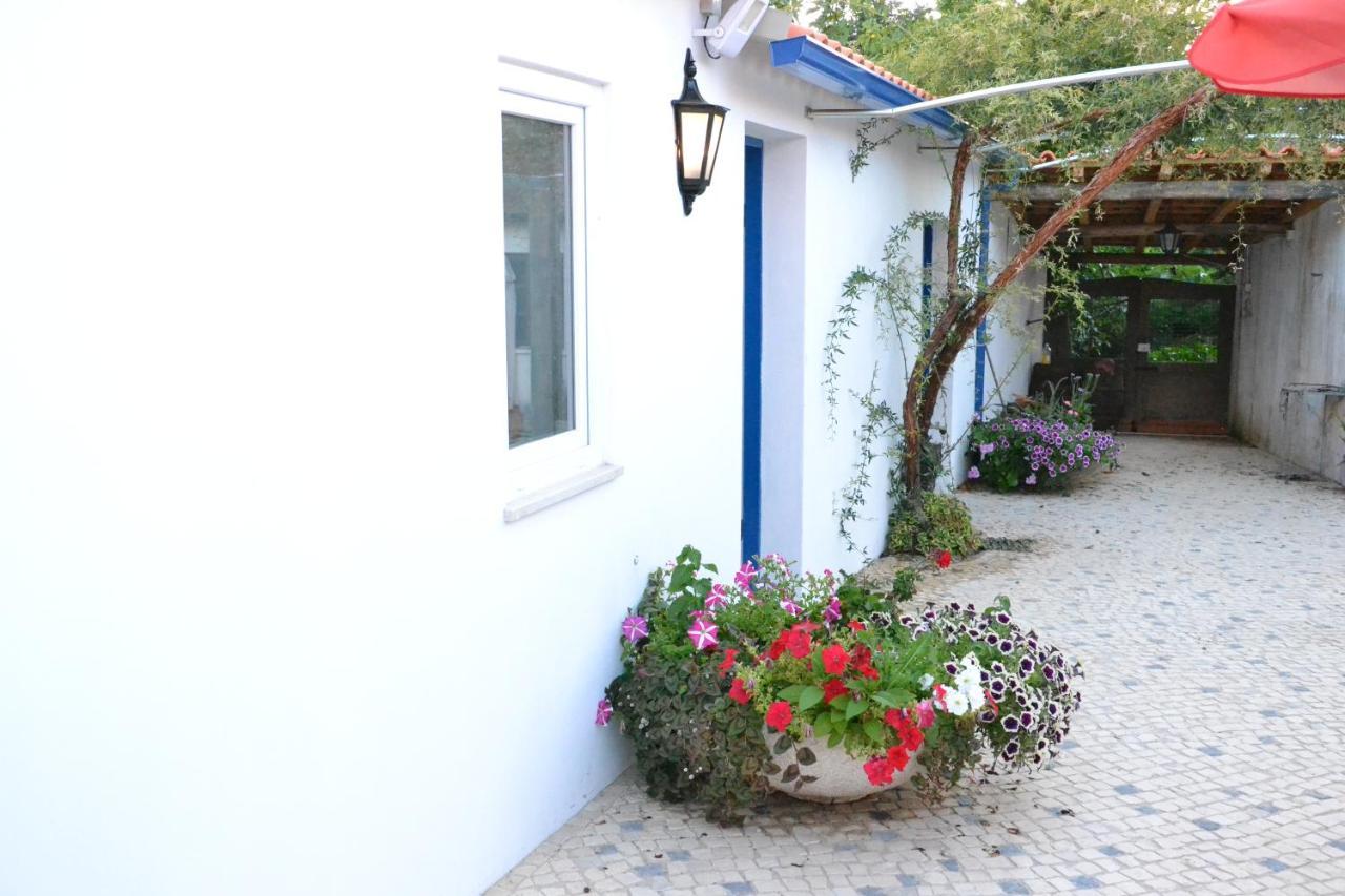 Quinta D'Avo Amelia Bed and Breakfast Alquerubim Buitenkant foto
