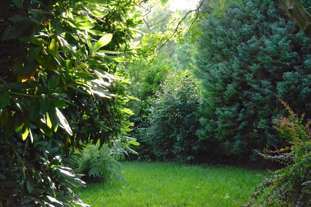 Quinta D'Avo Amelia Bed and Breakfast Alquerubim Buitenkant foto