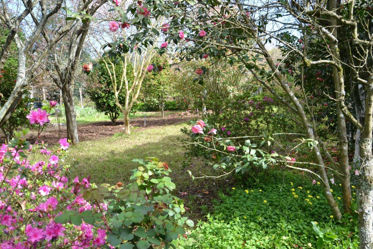 Quinta D'Avo Amelia Bed and Breakfast Alquerubim Buitenkant foto