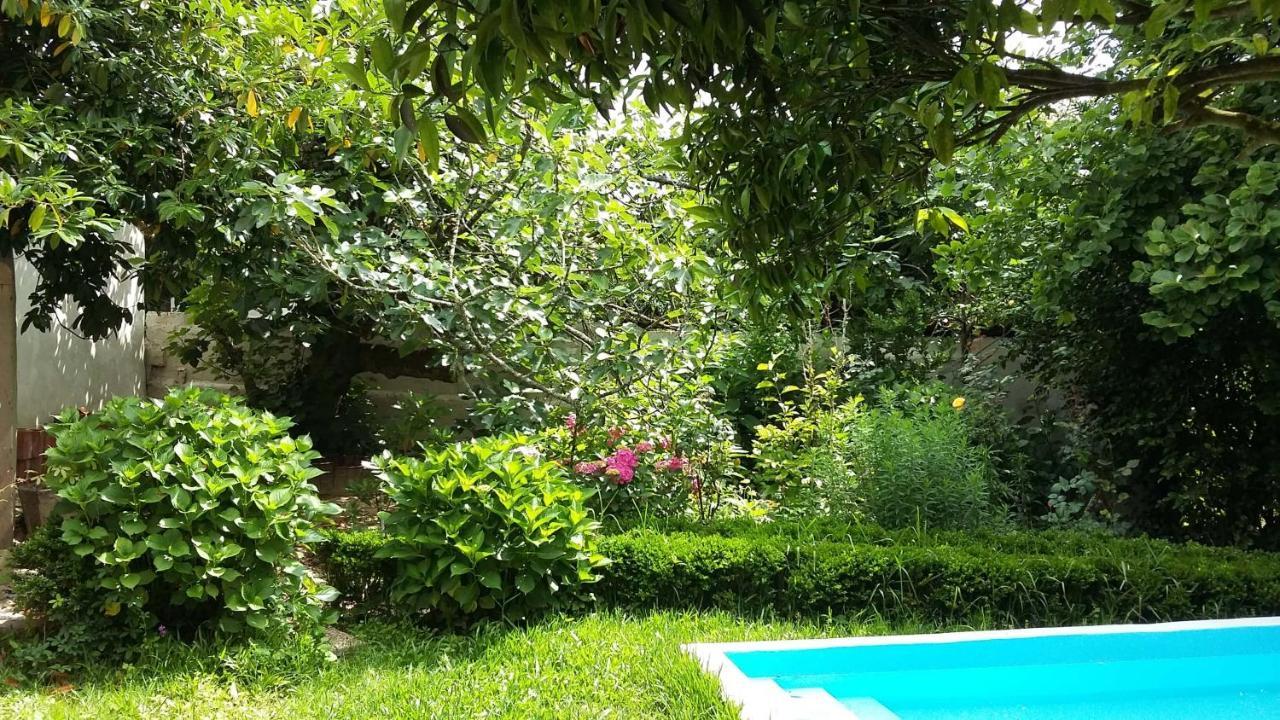 Quinta D'Avo Amelia Bed and Breakfast Alquerubim Buitenkant foto