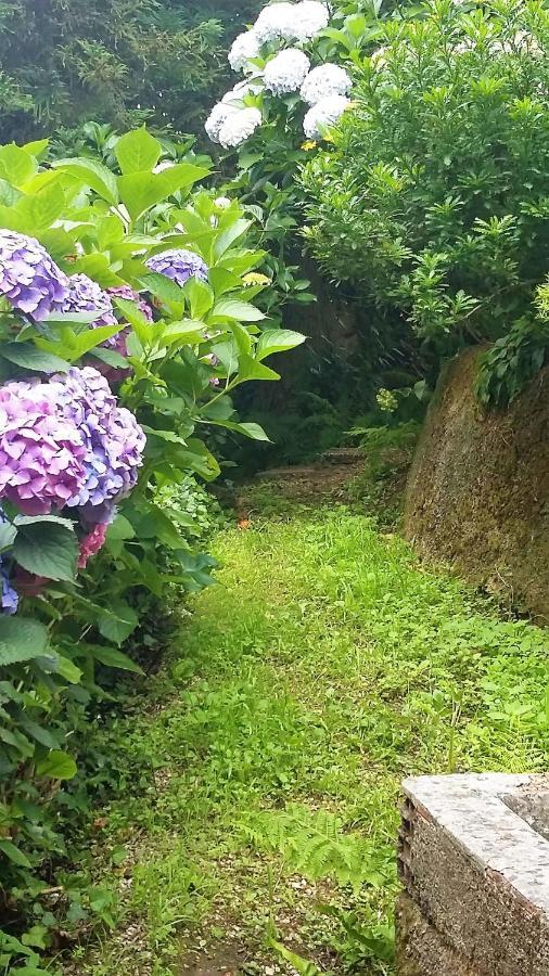 Quinta D'Avo Amelia Bed and Breakfast Alquerubim Buitenkant foto