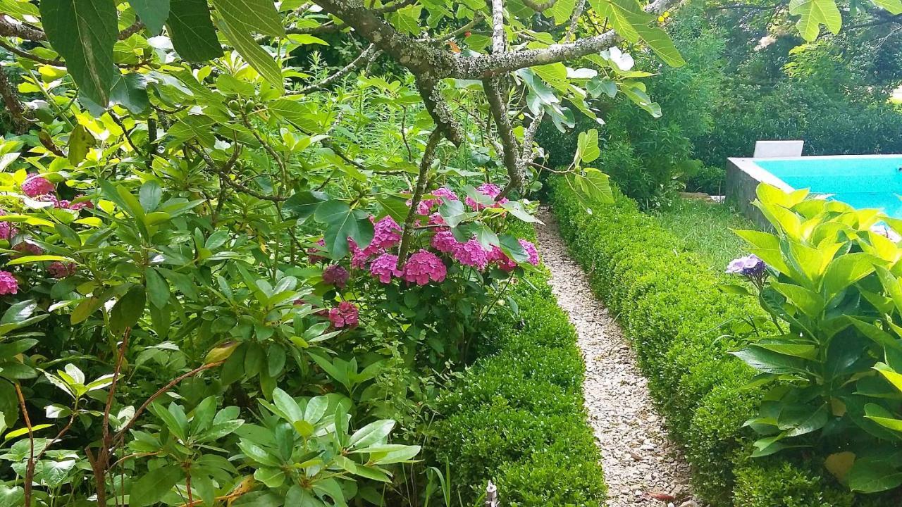 Quinta D'Avo Amelia Bed and Breakfast Alquerubim Buitenkant foto