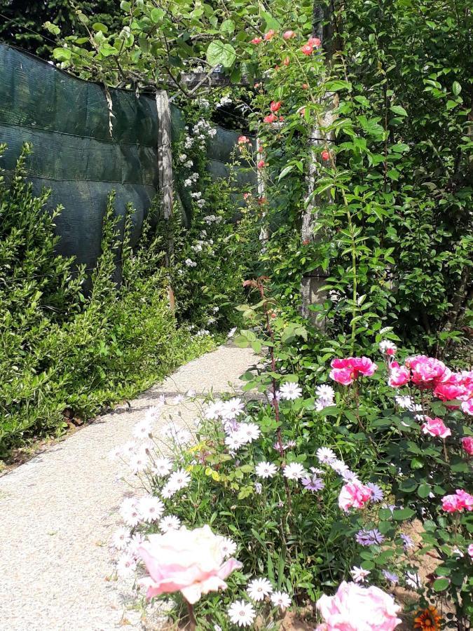 Quinta D'Avo Amelia Bed and Breakfast Alquerubim Buitenkant foto
