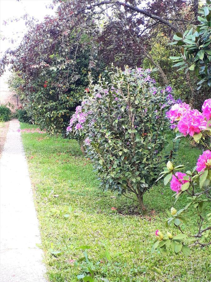 Quinta D'Avo Amelia Bed and Breakfast Alquerubim Buitenkant foto
