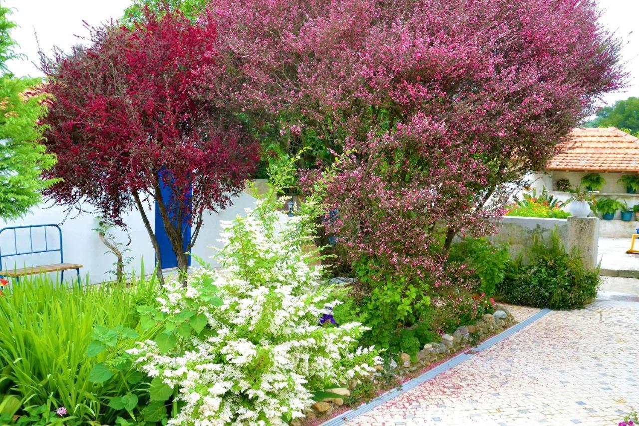 Quinta D'Avo Amelia Bed and Breakfast Alquerubim Buitenkant foto