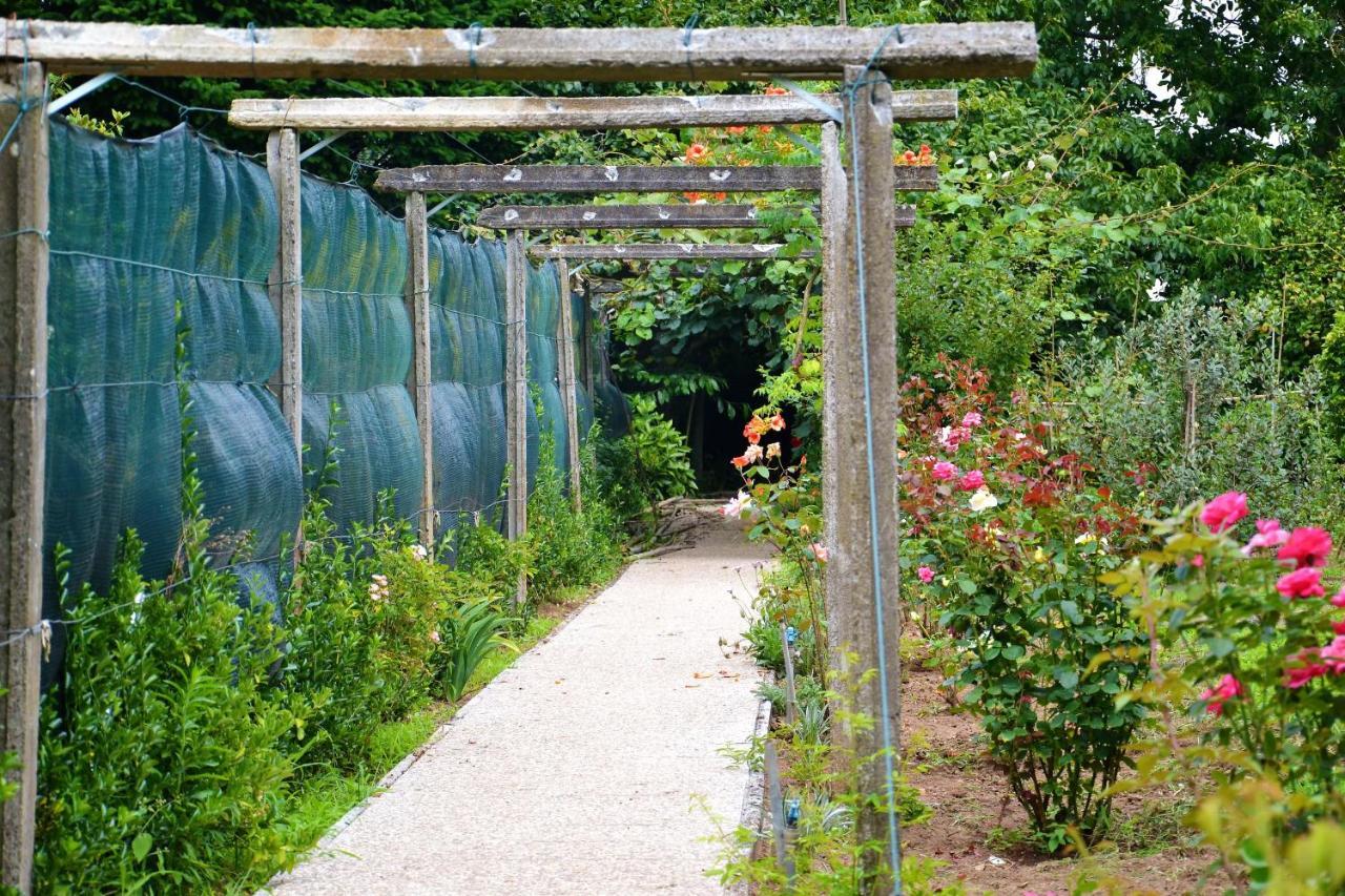 Quinta D'Avo Amelia Bed and Breakfast Alquerubim Buitenkant foto